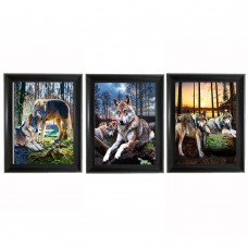  302 Wolf  Tripple 3D Picture  (Unframed Assorted 50pcs)