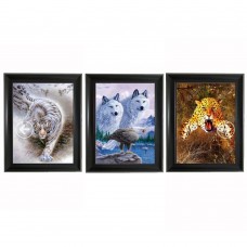 357 Tiger, wolf and leopard 3D Triple Image