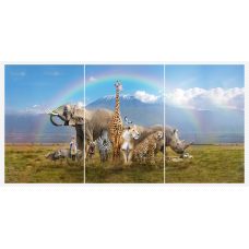 C312163 Africa Safari Tritych ultra-High Definition Canvases print
