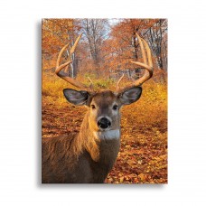 G901 ultra-High Definition Canvases print