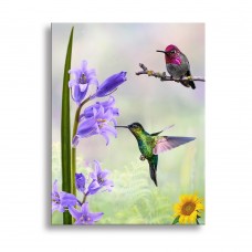 G902 Hummingi bird ultra-High Definition Canvases print