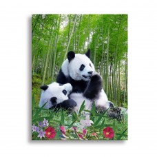 G910 ultra-High Definition Canvases print
