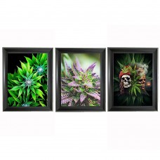 350 Cannabis/Weed 3D  lenticular picture 