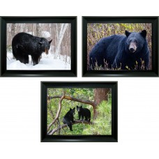 371 Bear 3D Triple Image