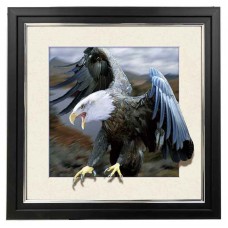 415* Eagle 5d Lenticular Picture Frame 18x18