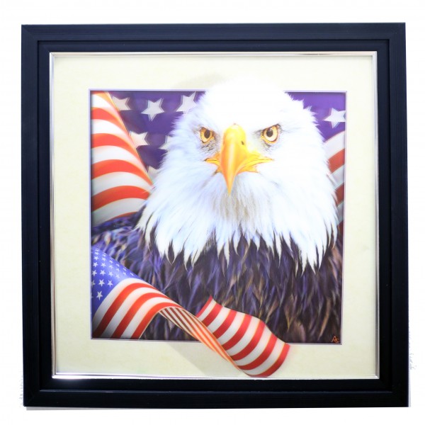 466* Bald Eagle 5d Lenticular Picture Frame 18x18