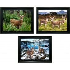 312 Deer 3D Lencticular Picture  (Unframe Assorted 50pcs)