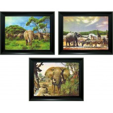 354 Elephant 3D Triple Image