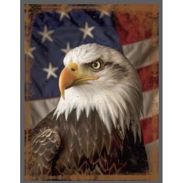 M801-EF Metal sign print  American Eagle Picture size 15x19