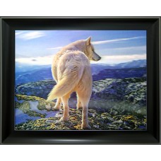 234 White Wolves 3D Picture  DISCONTINUED