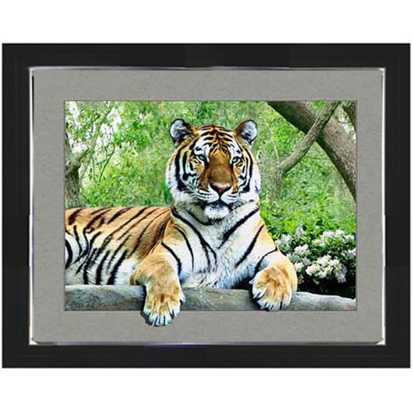 454 Tiger 5d Lenticular Picture Frame 16.5x20.5